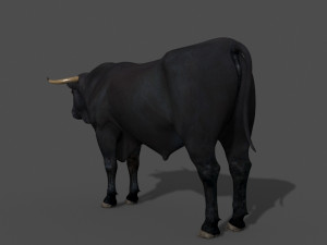 ultimate bull 3D-Modell