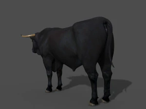 परम बैल 3D मॉडल