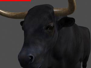 ultimate bull 3D-Modell