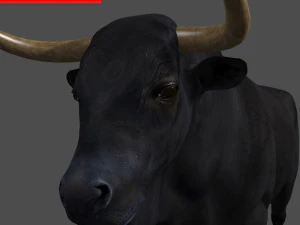 परम बैल 3D मॉडल