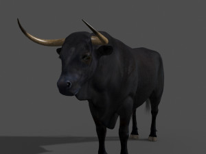 ultimate bull 3D-Modell