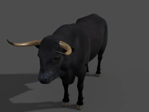 परम बैल 3D मॉडल