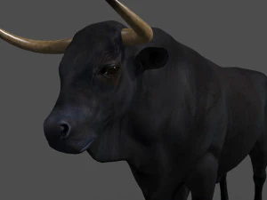 परम बैल 3D मॉडल