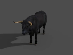 परम बैल 3D मॉडल