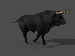 ultimate bull 3D-Modell