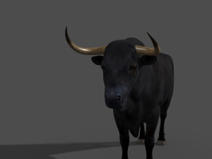 ultimate bull 3D-Modell
