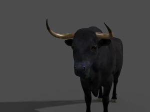 परम बैल 3D मॉडल