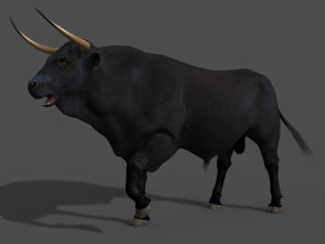 ultimate bull 3D-Modell
