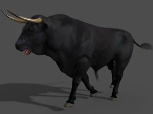 परम बैल 3D मॉडल