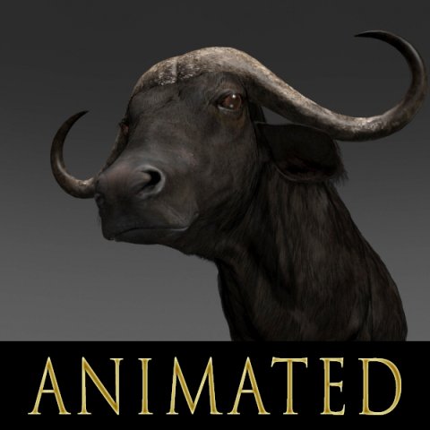 animated buffalo 3D Модель .c4d .max .obj .3ds .fbx .stl .blend 