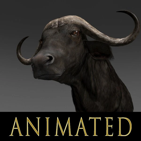 animated buffalo 3D Model .c4d .max .obj .3ds .fbx .stl .blend 