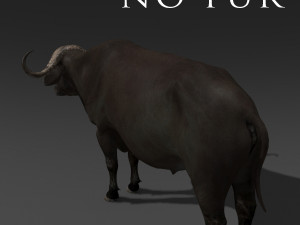 animated buffalo 3D Модель