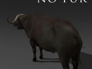 animated buffalo 3D Model