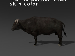 animated buffalo 3D Модель