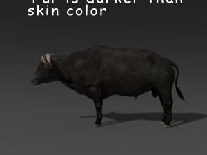 animated buffalo 3D Model