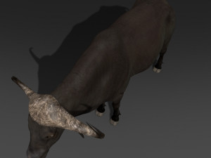 animated buffalo 3D Модель