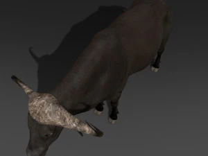 animated buffalo 3D Model