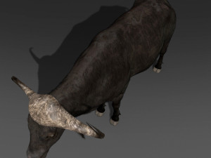 animated buffalo 3D Модель