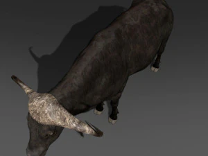 animated buffalo 3D Model