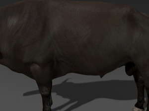 animated buffalo 3D Модель
