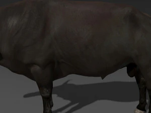 animated buffalo 3D Model