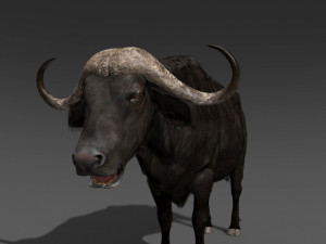 animated buffalo 3D Модель