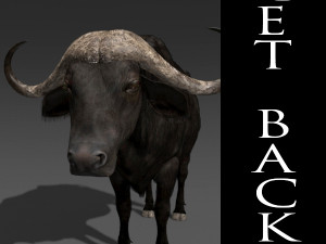 animated buffalo 3D Модель