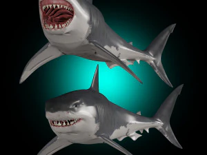 mand&iacute;bulas - grande tubar&atilde;o branco animado em 3D Modelo 3D