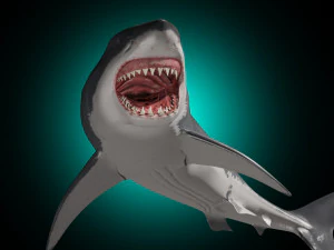 mand&iacute;bulas - grande tubar&atilde;o branco animado em 3D Modelo 3D