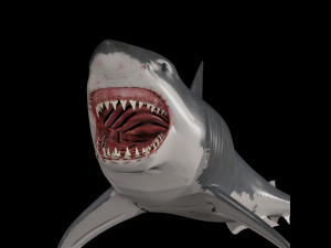 jaws - 3d animated great white shark Model 3D