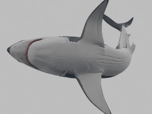 jaws - 3d animated great white shark Model 3D