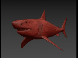 jaws - 3d animated great white shark Model 3D