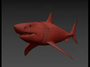 mand&iacute;bulas - grande tubar&atilde;o branco animado em 3D Modelo 3D