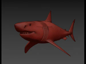 mand&iacute;bulas - grande tubar&atilde;o branco animado em 3D Modelo 3D