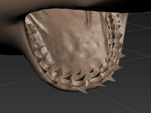 mand&iacute;bulas - grande tubar&atilde;o branco animado em 3D Modelo 3D