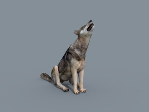 my wolf - 3d animated wolf model Modelo 3D