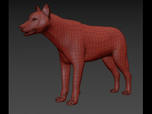 my wolf - 3d animated wolf model Modelo 3D