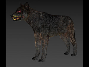 my wolf - 3d animated wolf model Modelo 3D
