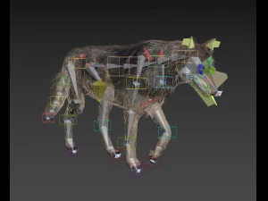 my wolf - 3d animated wolf model 3D Model