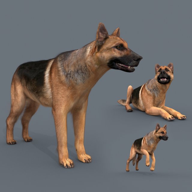 my dog - 3d animated dog model 3Dモデル .c4d .max .obj .3ds .fbx .stl .blend 