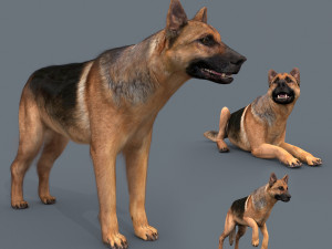 my dog - 3d animated dog model 3D Model