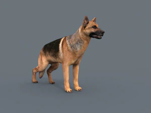 my dog - 3d animated dog model 3D Model