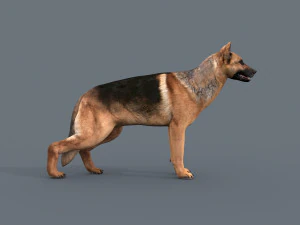 my dog - 3d animated dog model 3D Model