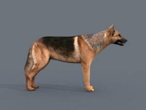 my dog - 3d animated dog model 3D Model