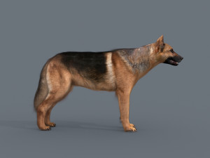 my dog - 3d animated dog model 3Dモデル