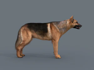 my dog - 3d animated dog model 3D Model