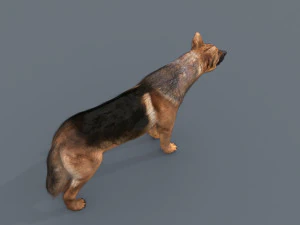my dog - 3d animated dog model 3D Model
