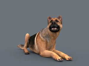 my dog - 3d animated dog model 3D Model