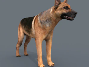 my dog - 3d animated dog model 3D Model