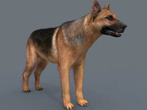 my dog - 3d animated dog model 3D Model